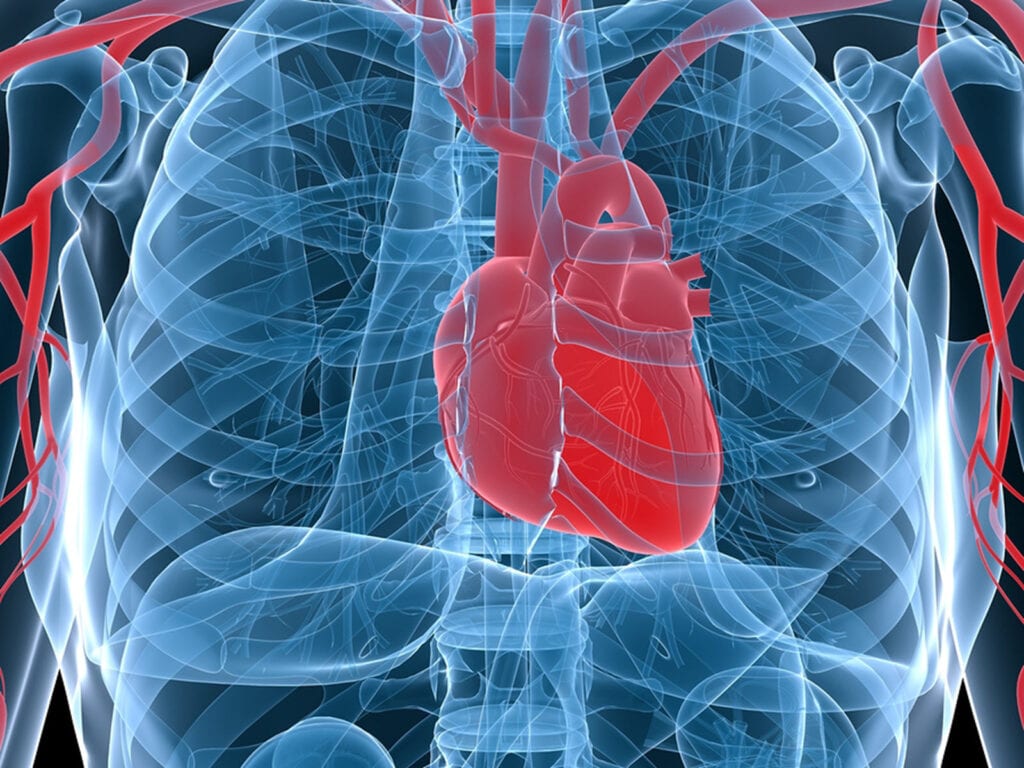 Homecare in Canton MI: Aspects of Heart Disease